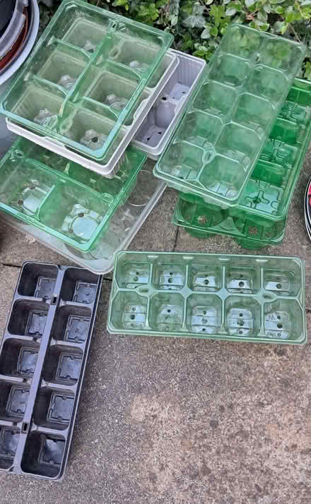 Photo of free Seed trays (Kimberley NG16) #1