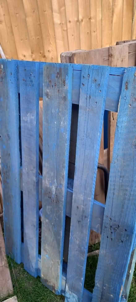 Photo of free Pallets (Costhorpe S81) #2