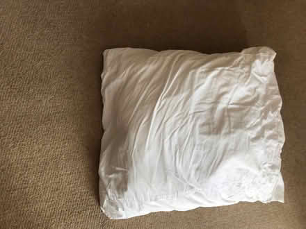 Photo of free 3 large square pillows (Bromley BR2) #3