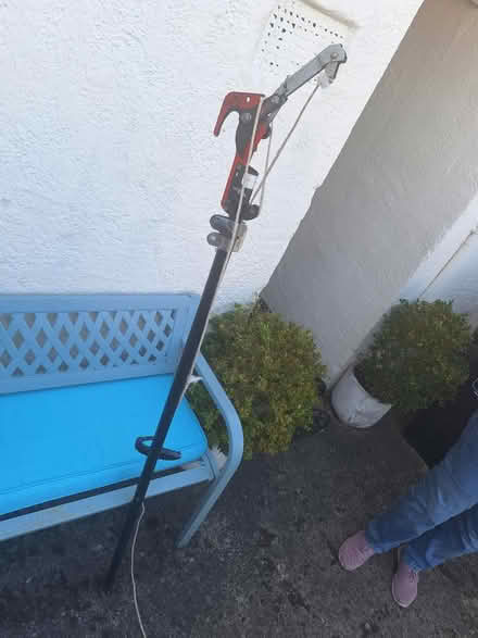Photo of free Tree loppers (Forestgreen) #1