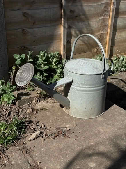 Photo of free Watering can (Purley CR8) #1
