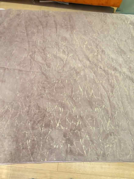Photo of free 1 light rug (SE1) #4