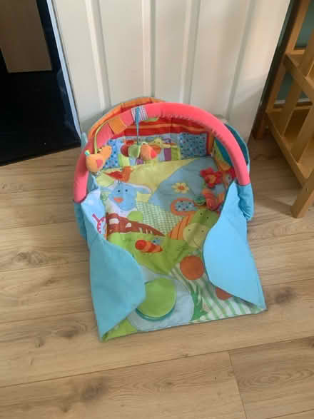 Photo of free Baby Flood mat (M34 West Denton) #1