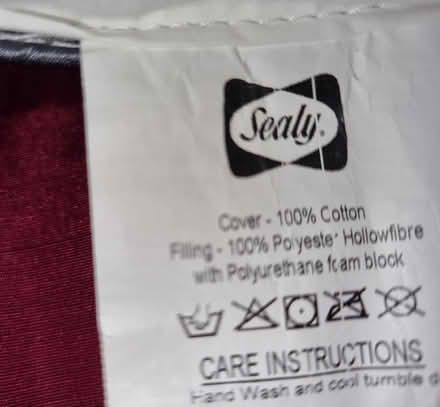 Photo of free 2 sealy side sleeper pillows (Longley S5) #4