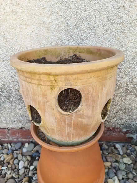 Photo of free strawberry planter (Longley S5) #1
