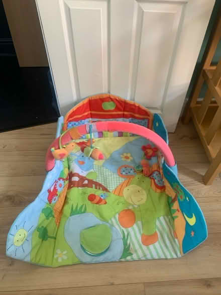 Photo of free Baby Flood mat (M34 West Denton) #2
