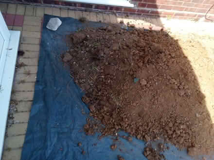 Photo of free Top soil (CO15) #3