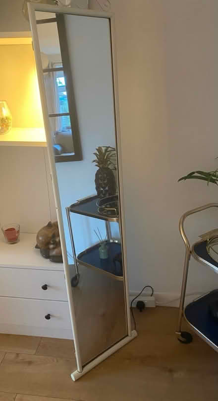 Photo of free Full length mirror (Hampton TW12) #1
