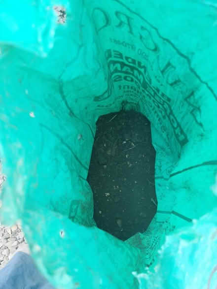 Photo of free Soil (topsoil and medium soil) (East Oxford, OX4) #2