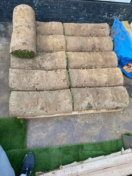 Photo of free 11 x Rolls of Turf (Weybridge KT13) #1
