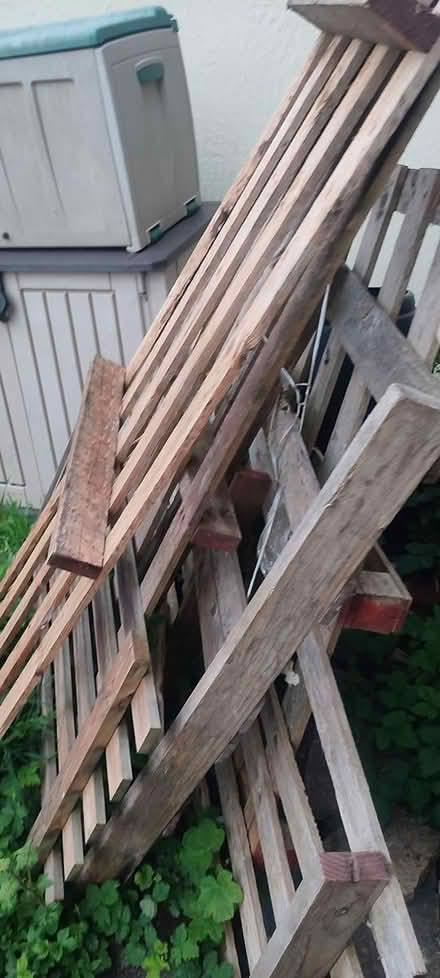 Photo of free Wooden pallets (Shooters hill) #3