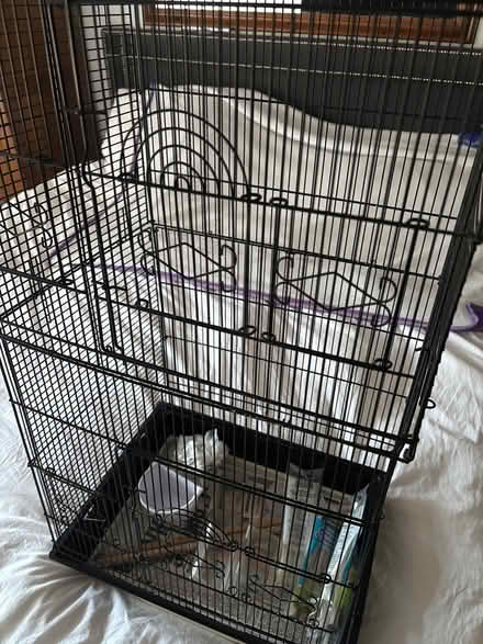 Photo of free Bird cage (Barton, oxford OX3 9) #2