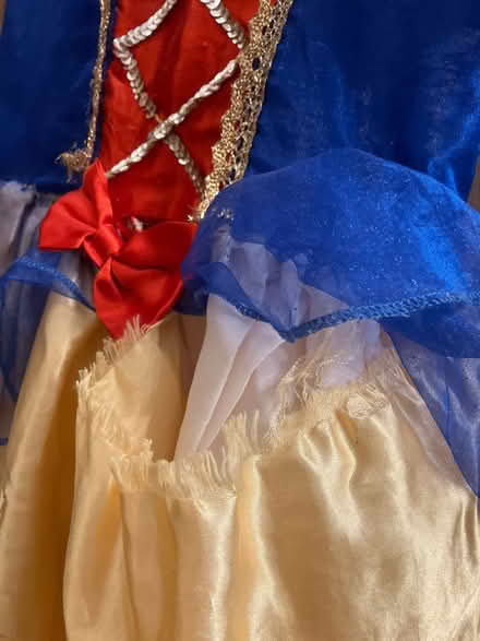 Photo of free Disney Fancy Dress (Frome (Central)) #3