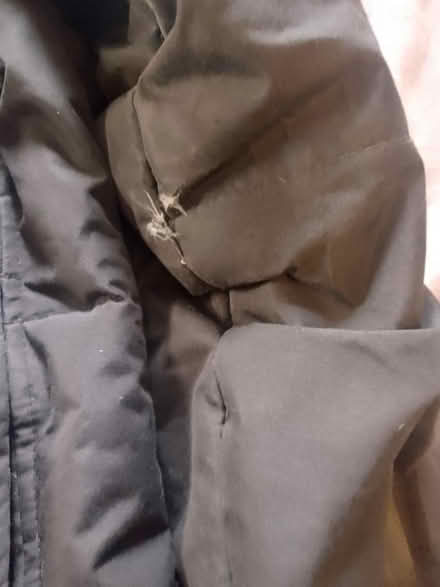 Photo of free Women's winter coat (Sheffield city center) #3