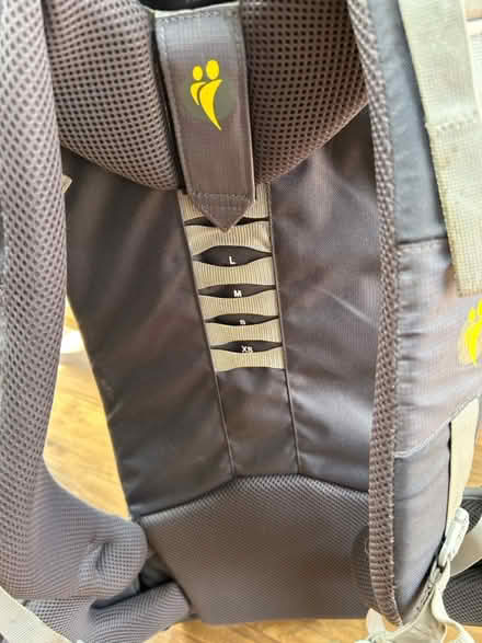 Photo of free Little life child carrier (darwen BB3) #4