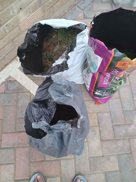 Photo of free 3 large bags of garden turf (Broomfield CM1) #1
