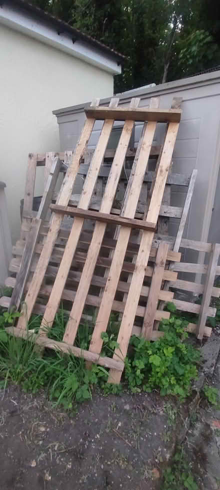 Photo of free Wooden pallets (Shooters hill) #2