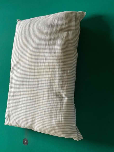 Photo of free Pillow (Downers Grove - north) #1