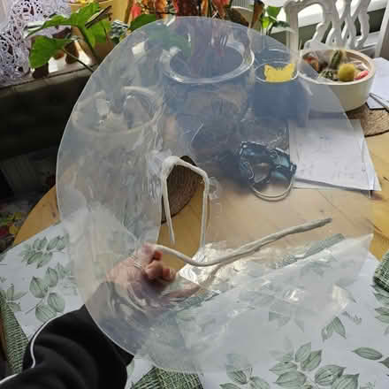 Photo of free Dog safety head cone collar (EH4 7DN) #1