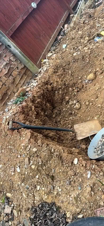 Photo of free Soil (Fox Hollies B28) #1