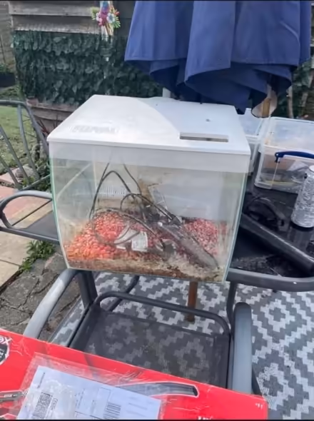Photo of free Fish Tank (CT2) #1