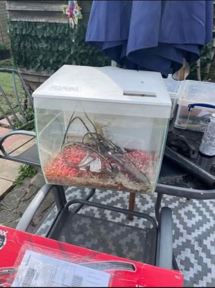 Photo of free Fish Tank (CT2) #1