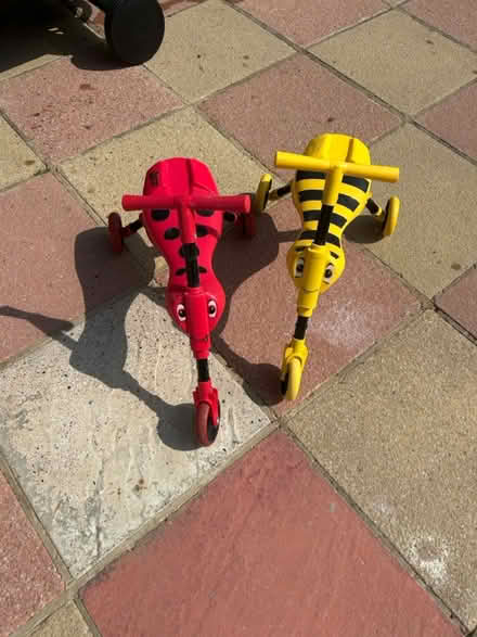 Photo of free 2 scuttlebugs (TN23) #1