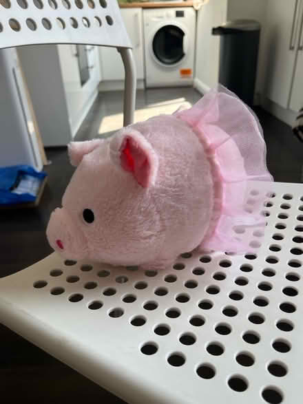 Photo of free Toy Princess piggy) (NW2) #2