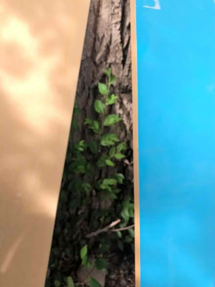 Photo of free 3 pressed wood shelves (UNM area) #2