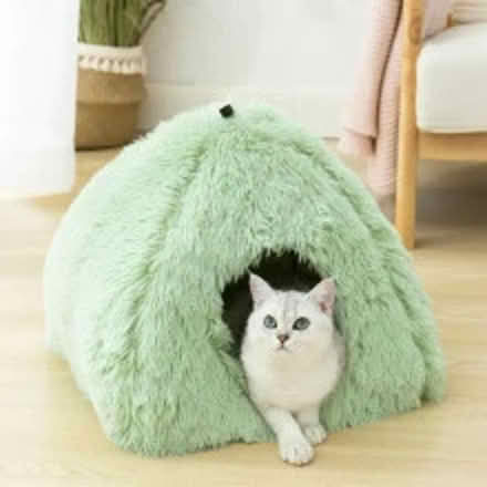 Photo of cats bed (SW16 3JG) #1