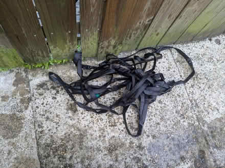Photo of free Self-watering planter and hose (Columbia Heights) #3