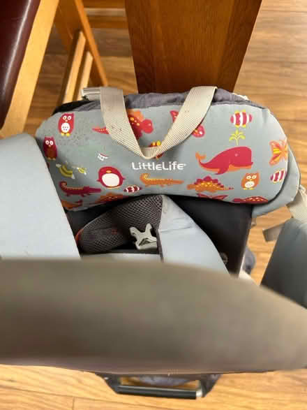 Photo of free Little life child carrier (darwen BB3) #3