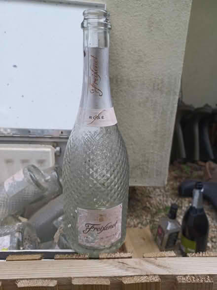 Photo of free Frexienet bottles x 30 (RG12, Binfield) #1