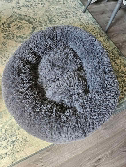 Photo of free Large dog bed (Bracknell, RG12) #1