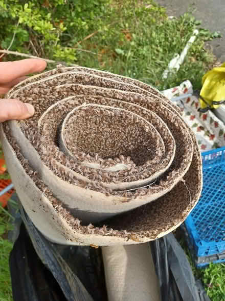 Photo of free Carpet off cut (Aveley RM15) #1