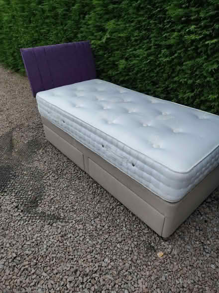 Photo of free Single bed (Quorn) #1