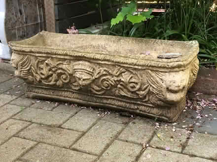 Photo of free Plant pot (Florence Park OX4) #1