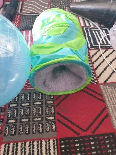 Photo of free Animal stuff (Potters bar herts EN6) #2