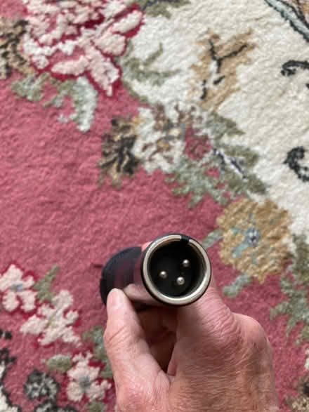 Photo of free Handheld microphone (Park-Monroe Neighborhood) #3