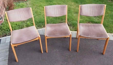 Photo of free Set of three matching chairs (Springfield B11) #1