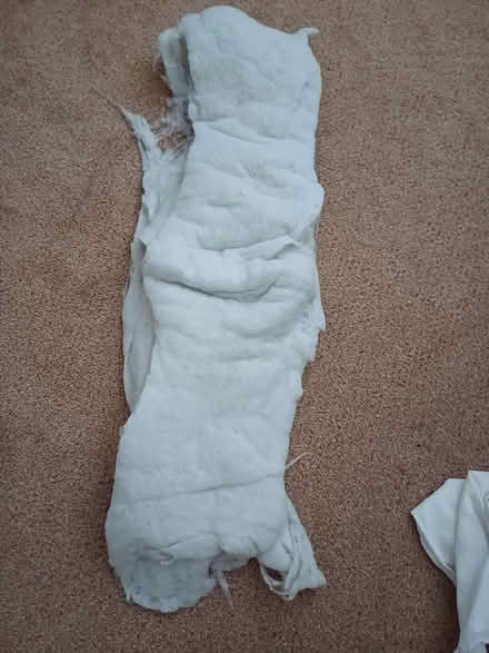 Photo of free Polyester wadding (Steyning BN44) #1