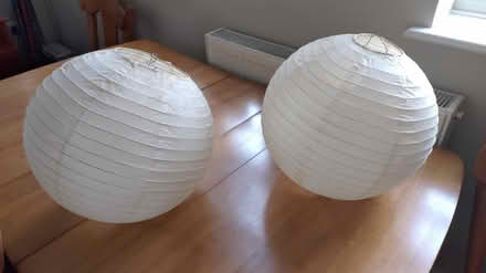Photo of free Paper light shades (Oswestry) #1