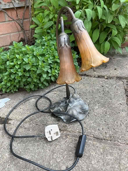Photo of free Lamp (SY2) #1