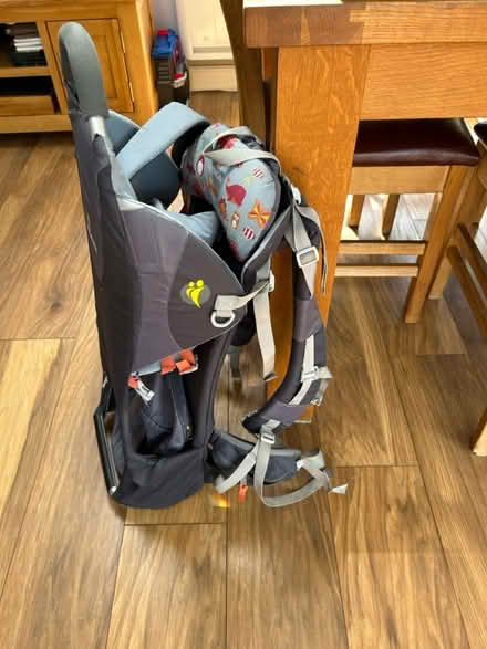 Photo of free Little life child carrier (darwen BB3) #1