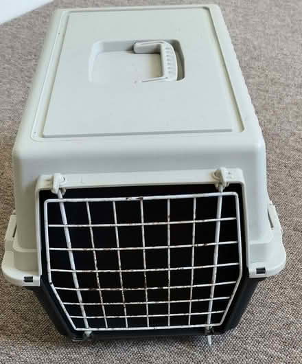 Photo of free Cat Basket (Lambridge) #1
