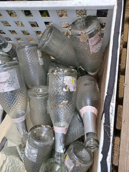 Photo of free Frexienet bottles x 30 (RG12, Binfield) #2