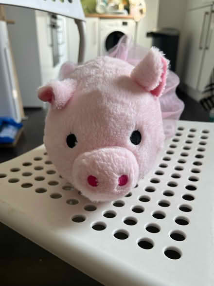 Photo of free Toy Princess piggy) (NW2) #1