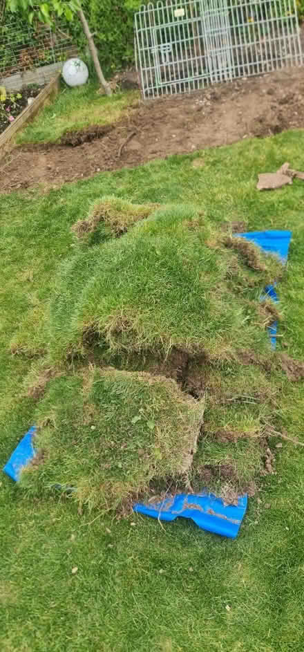 Photo of free Turf (Preston PR5) #1