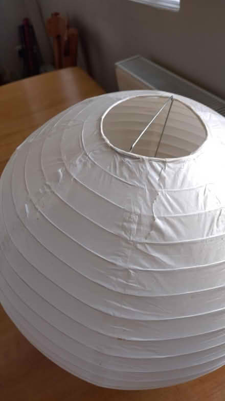 Photo of free Paper light shades (Oswestry) #3