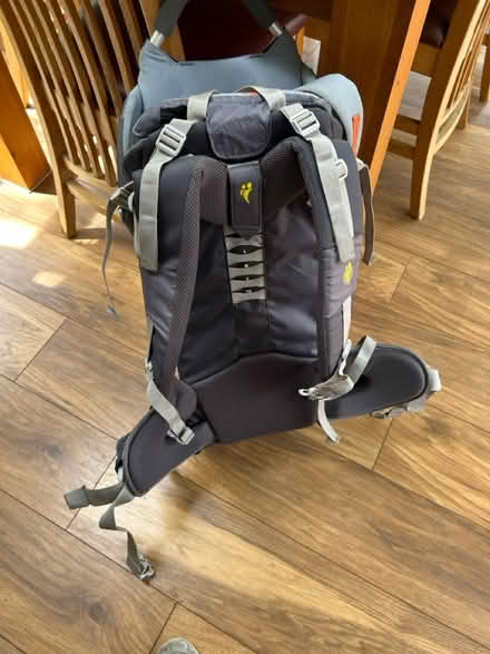Photo of free Little life child carrier (darwen BB3) #2